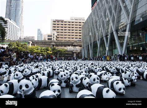 Panda world – Telegraph