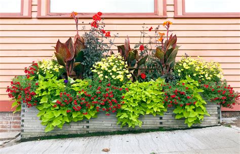 5 Rectangular Planter Box Ideas | Birdies Garden Products