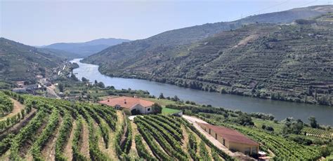 Douro Valley Wineries Tour. Wine Tour. Wine tasting. Port Wine.