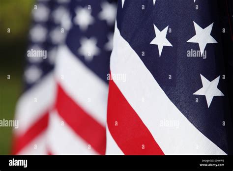 A row of American flags Stock Photo - Alamy