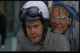 Dumb And Dumber Quotes Scooter. QuotesGram