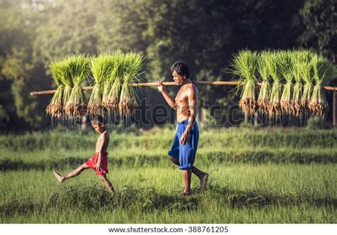 Cambodia People: Over 70,674 Royalty-Free Licensable Stock Photos ...