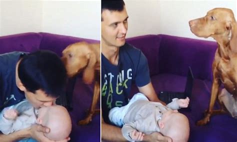 Dog kisses owner every time he kisses his newborn baby | Daily Mail Online