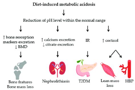 Consequences to health from low-grade metabolic acidosis induced by ...