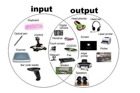 Examples of Input and Output Devices