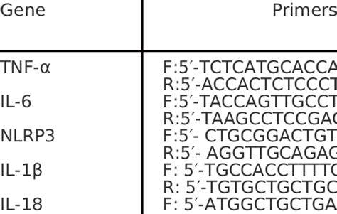 Primer oligonucleotide sequences | Download Scientific Diagram