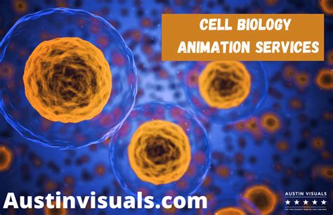 Cell Biology Animation