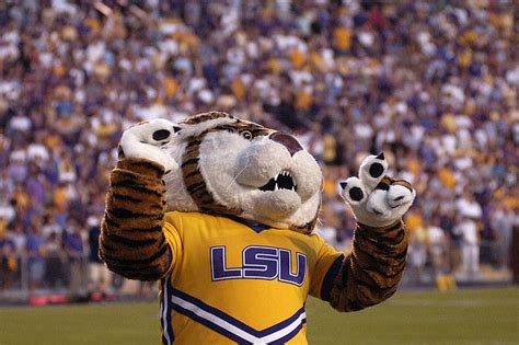 LSU Tigers | Lsu mascot, Lsu tigers, Mascot