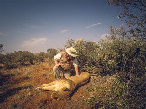 SOUTH AFRICA: Me & KMG Hunting Safaris Lions In The Free State | AfricaHunting.com