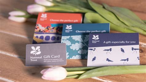 How To Store Gift Cards | Storables