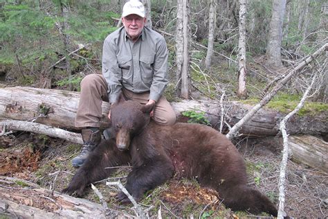 Bear Hunting in BC, Guided Bear Hunts with BC Guide Outfitters in BC Canada