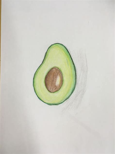 Avocado drawing | Cute small drawings, Small drawings, Drawing tutorial