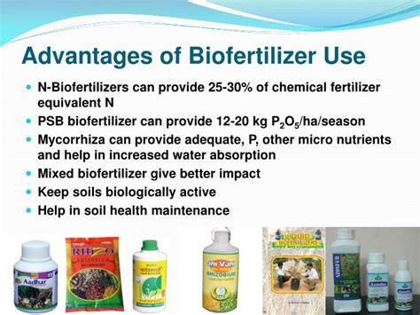 PPT - Biofertilizers An input less exploited PowerPoint Presentation - ID:316635