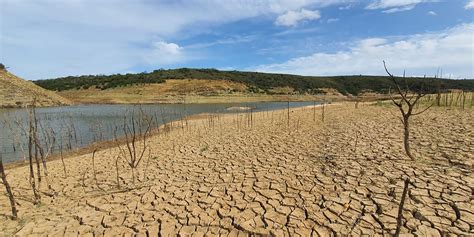 Eastern Cape breaks drought records — with no end in...