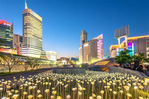 LED Rose Garden ที่ Dongdaemun Design Plaza