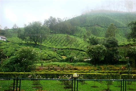 Blossom Park, Munnar - Entry Fee, Visit Timings, Things To Do & More...