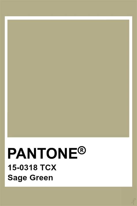 Pantone Cotton Swatch 15-0318 Sage Green | ubicaciondepersonas.cdmx.gob.mx