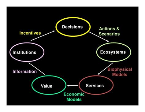 Natural Capital Project Presentation