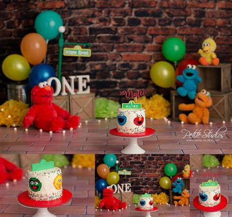 Naperville and Chicago First Birthday Photographer – Sesame Street Elmo Cake Smash - – Petite ...