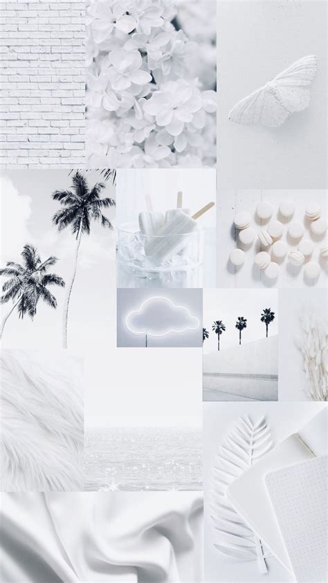 √ Aesthetic White Background