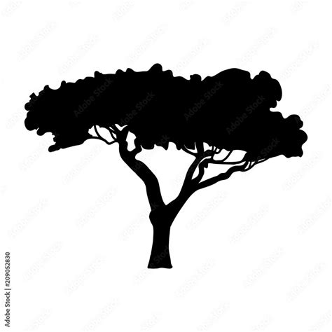 Silhouette Acacia icon tree flora Stock Vector | Adobe Stock