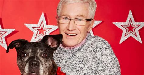 Christmas TV preview: Paul O'Grady For The Love of Dogs at Christmas - Liverpool Echo