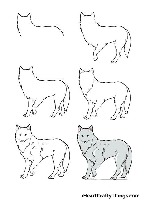 How To Draw A Realistic Arctic Fox Step By Step - Design Talk