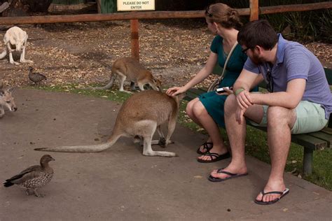 Caversham Wildlife Park – Travelsmart Vacation