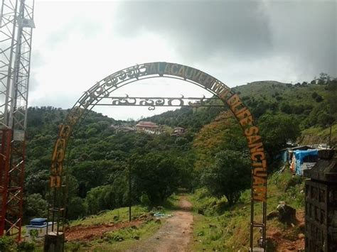 Amazing Wildlife Places in Coorg | Trawell.in Blog