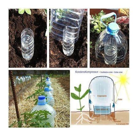 DIY Goteo Solar Drip Irrigation