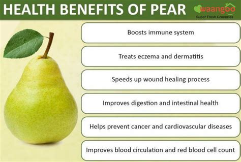 Pear is a seasonal fruit. It looks like a green apple to a great extent. Pear contains a ...