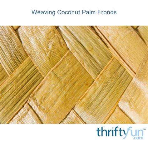 Weaving Coconut Palm Fronds | ThriftyFun