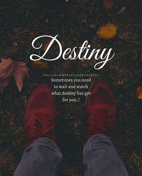 Destiny quotes – Artofit