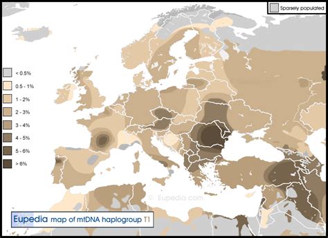 Share your maternal/paternal haplogroup and i will share where it originated. : r/23andme