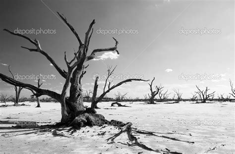 Climate Change — Stock Photo © THPStock #42378451