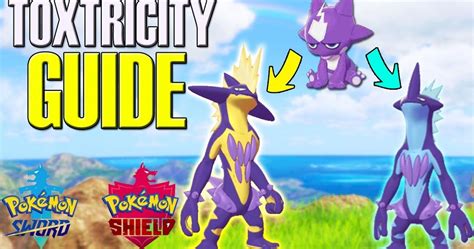 Pokémon Sword & Shield Toxel Evolution Guide