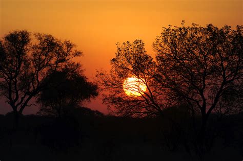 Hwange National Park (4) | Hwange NP | Pictures | Zimbabwe in Global ...