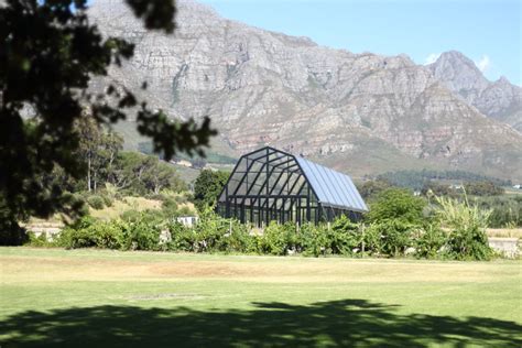 Bountiful Blaauwklippen Vineyards in Stellenbosch | Tulips and Phoenixes