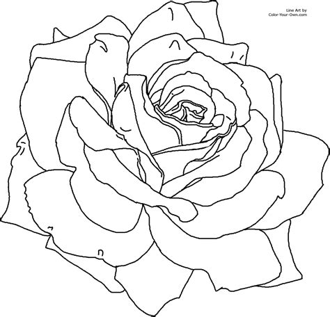 flower Page Printable Coloring Sheets | For the 8.5 x 11 printable size ...