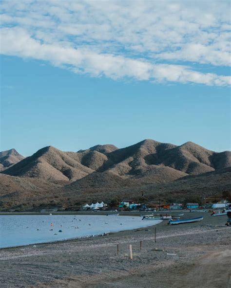 I Kissed a Grey Whale in Magdalena Bay Mexico