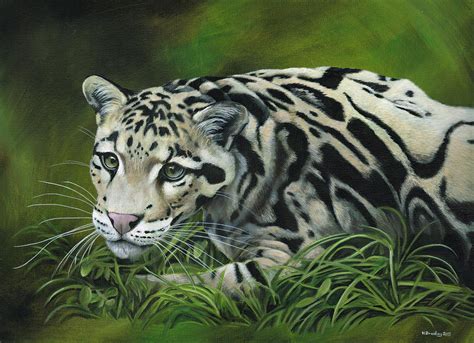 Clouded Leopard Painting by Heather Bradley - Fine Art America