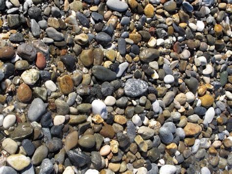 Sea pebbles stock image. Image of granite, close, coastline - 44244089