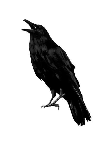 Raven PNG Images Transparent Free Download - PNG Mart