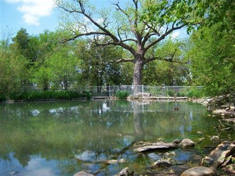 Image detail for -Great Bend, KS : Great Bend Zoo photo, picture, image (Kansas) at city ...