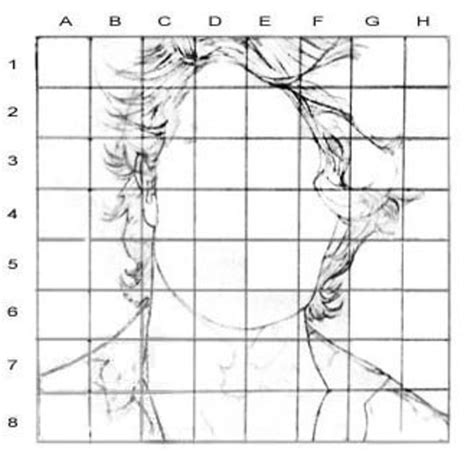 Portrait Drawing for Beginners: The Grid Method - FeltMagnet