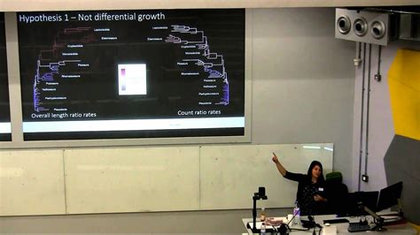 Evolutionary rates reveal mechanisms of axial body plan evolution in Sauropterygia - YouTube