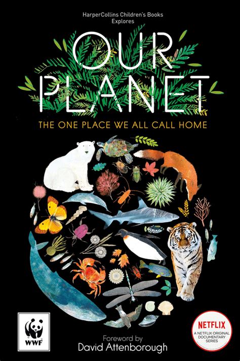 15 of the Best Eco-conscious children's books 2020 - Junior Magazine