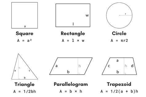 Trapezoid area calculator - DamianMaleka