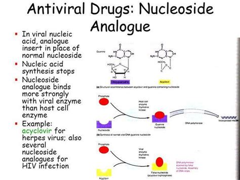 Nucleoside analogs - Drug Guide - AntiinfectiveMeds.com