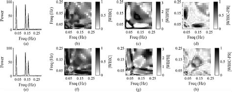 Figure 1 from Detecting Interactions between the Renal Autoregulation Mechanisms in Time and ...